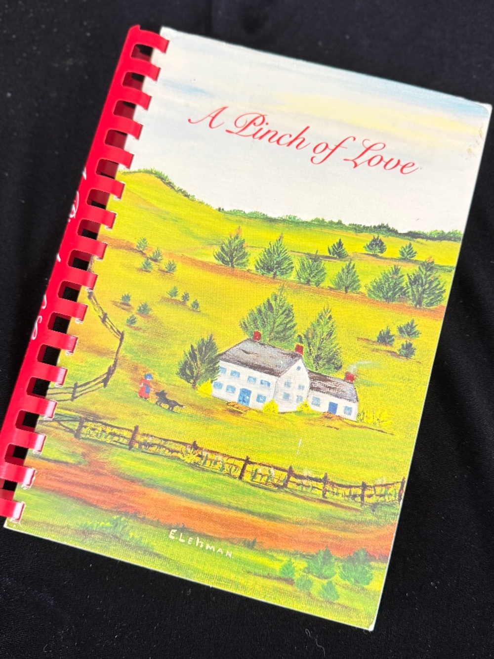 1985 Cookbook Rockland Maryland National Lutheran Home A Pinch of Love Spiral